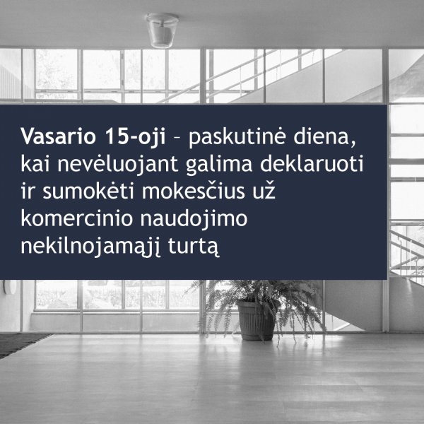 Vasario 15-oji – paskutinė diena, kai nevėluojant galima deklaruoti ir sumokėti mokesčius už...