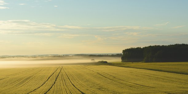 Kam naudinga stabdyti valstybinės žemės valdymo reformą?