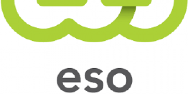 Elektros energijos skirstymo operatorius (ESO) atkreipia dėmesį į žemės kasimo darbų vykdymą
