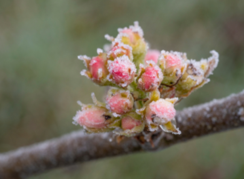 Paskelbta savivaldybės lygio ekstremalioji  situacija visoje Kaišiadorių rajono savivaldybės...