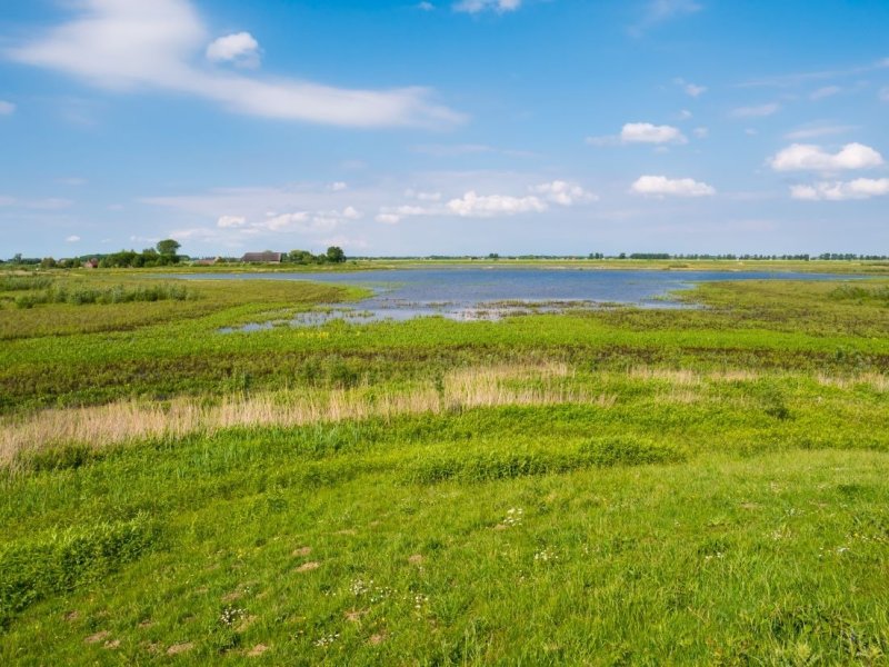Parengtas naujas natūralių pievų ir ganyklų, pelkių ir šaltinynų specialiųjų žemės naudojimo...
