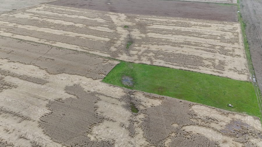 Kviečiame teikti prašymus iš dalies kompensuoti išlaidas, patirtas vykdant melioracijos statinių...