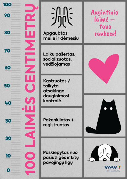„100 laimės centimetrų“: kaip išmatuoti augintinio laimę?