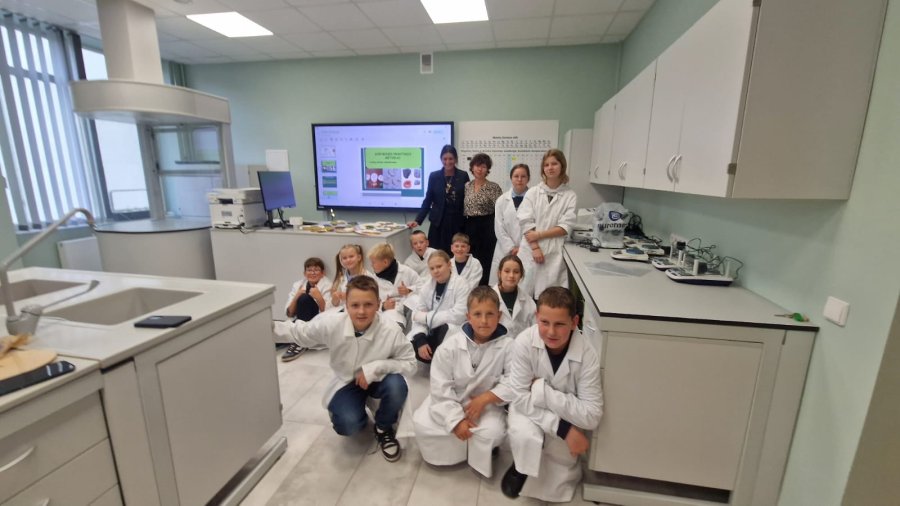 Kaip susidarė fosilijos?