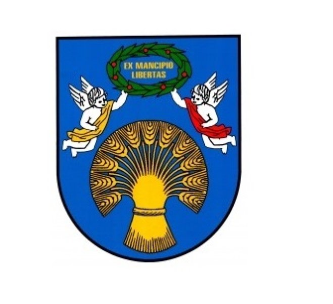 Žaslių seniūnijoje išduotas leidimas atlikti kasinėjimo darbus