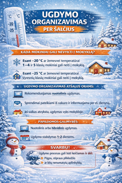 Ugdymo organizavimas per šalčius