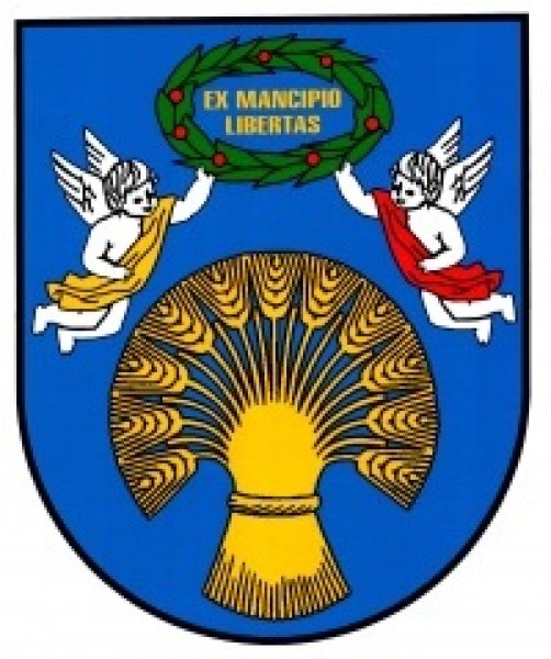 Žaslių seniūnijos išplėstinė seniūnaičių sueiga