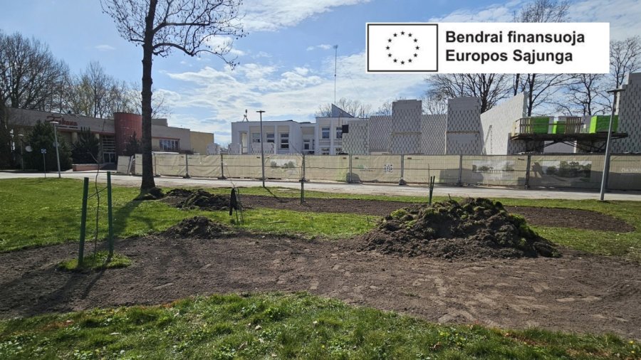 Prasideda A. M. Brazausko parko žalinimo ir atnaujinimo darbai