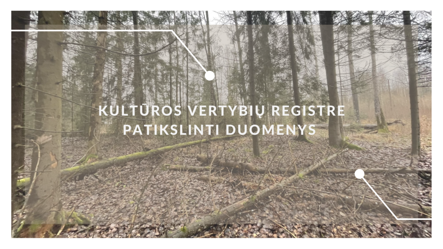 Patikslinti Pašulių pilkapių vietos duomenys Kultūros vertybių registre