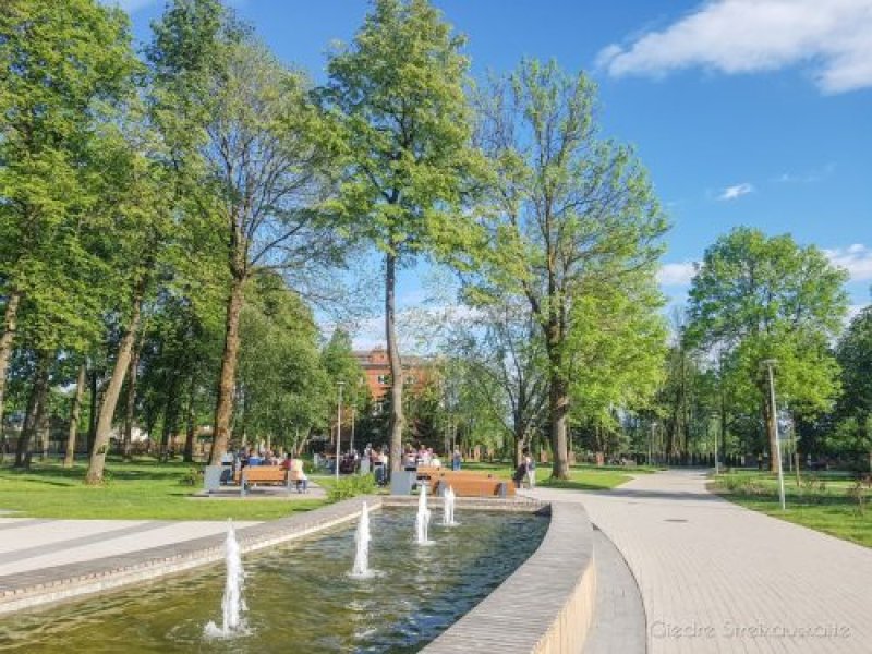 Informacija apie vaikų vasaros stovyklas Kaišiadorių rajono savivaldybėje