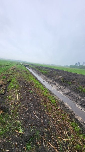Skelbimas dėl melioracijos griovių rekonstrukcijos darbų