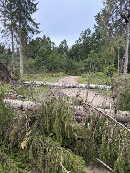 Ekstremaliųjų situacijų operacijų centro posėdyje aptarta situacija Kaišiadorių rajone po audros