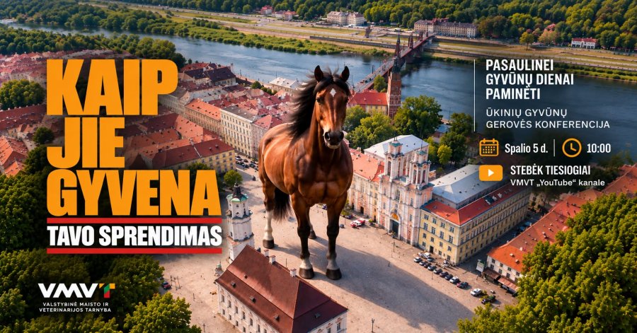 Konferencija „Kaip jie gyvena. Tavo sprendimas“ 